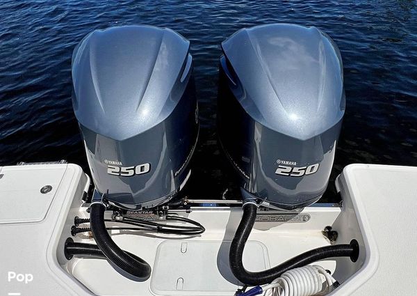 Robalo r272 image