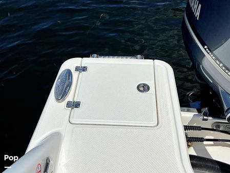 Robalo r272 image