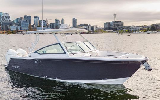 Blackfin 272 DC image