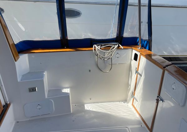 Bayliner 3870 Motor Yacht image