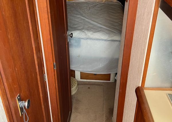 Bayliner 3870 Motor Yacht image