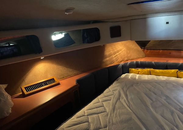 Bayliner 3870 Motor Yacht image
