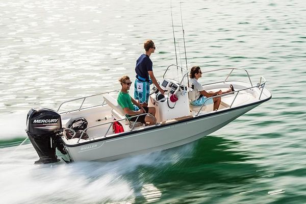 Boston Whaler 150 Montauk - main image