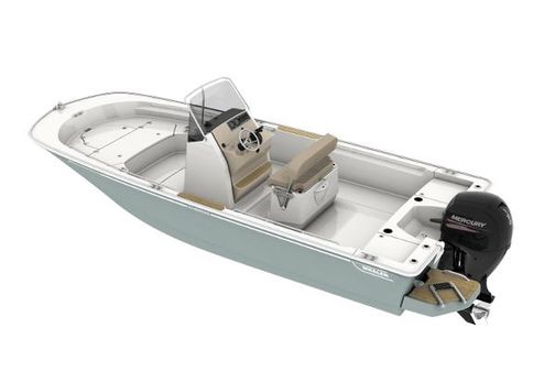 Boston-whaler 210-MONTAUK image