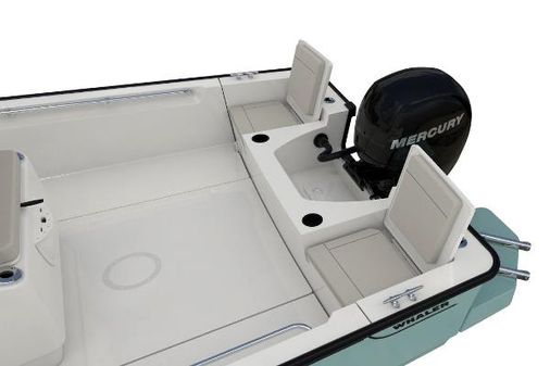 Boston-whaler 210-MONTAUK image
