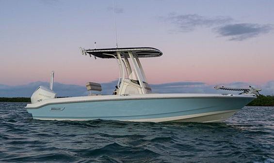 Boston Whaler 220 Dauntless