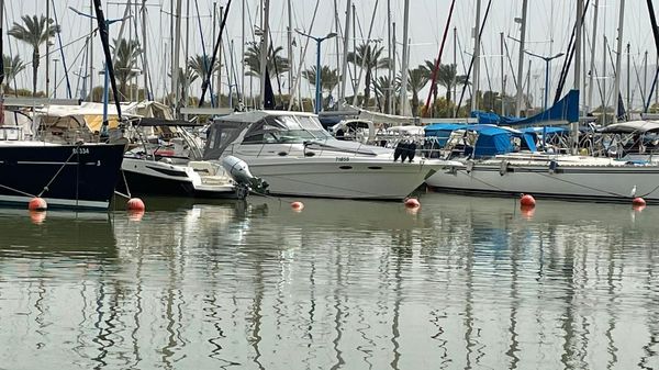 Sea Ray 330 Sundancer