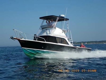 Bertram 31 Sportfisher image