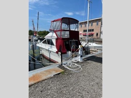 Sea Ray 300 Sedan Bridge image