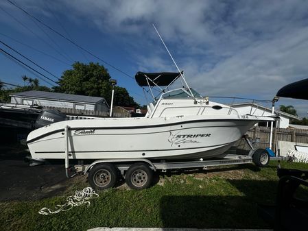 Seaswirl STRIPER-2301-WALKAROUND-OB image