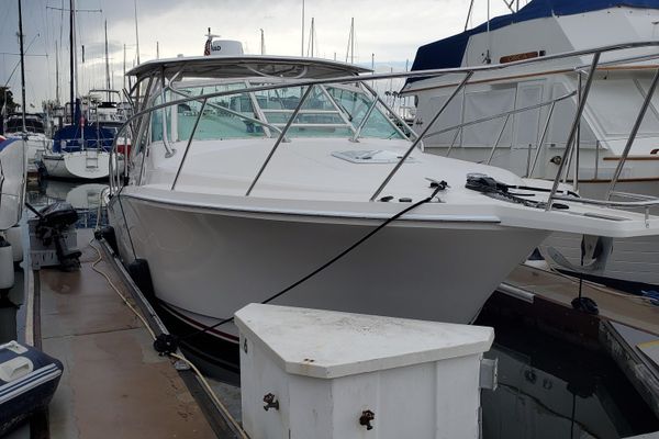 Cabo 31 Express - main image