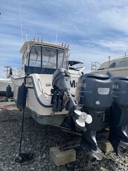 Grady-White Marlin 300 image