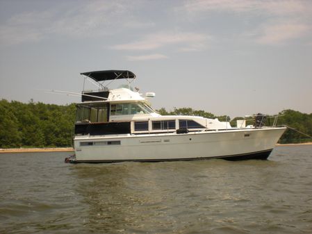 Bertram 42-FLYBRIDGE-MOTOR-YACHT image