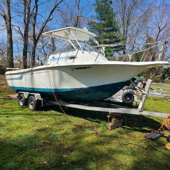 Baha Cruisers 240 Walkaround Fisherman image
