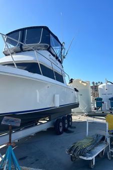 Skipjack 30 Flying Bridge image