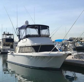 Skipjack 30 Flying Bridge image