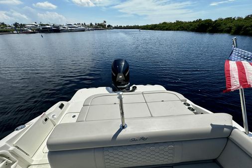 Sea Ray 270 SDX-OB image