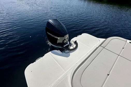 Sea Ray 270 SDX-OB image