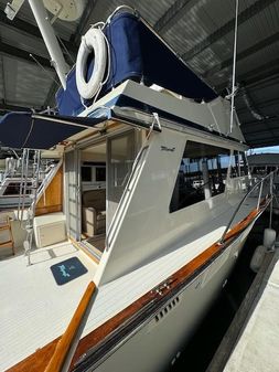 Tollycraft 37-CONVERTIBLE image