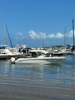 Boston Whaler 330 Outrage image