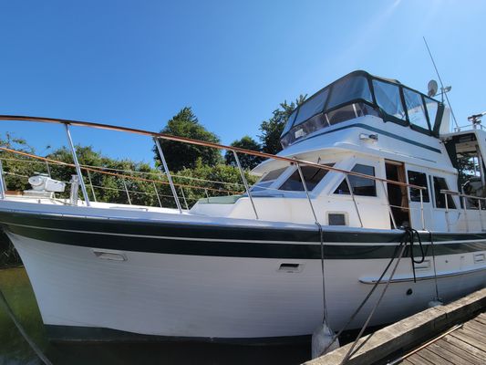 Hershine Cockpit Yacht Fisher - main image