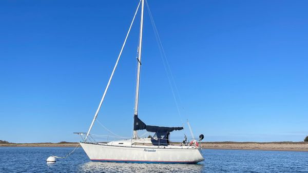 C&C 29 