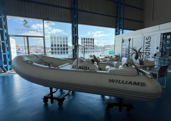 Williams Jet Tenders Turbojet 325 image