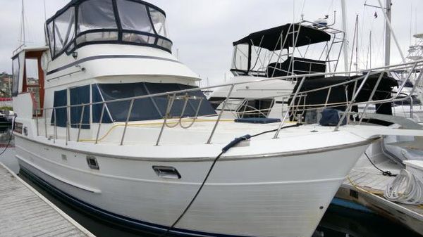 Nova 36 SUNDECK 