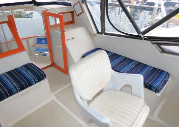 Nova 36 SUNDECK image