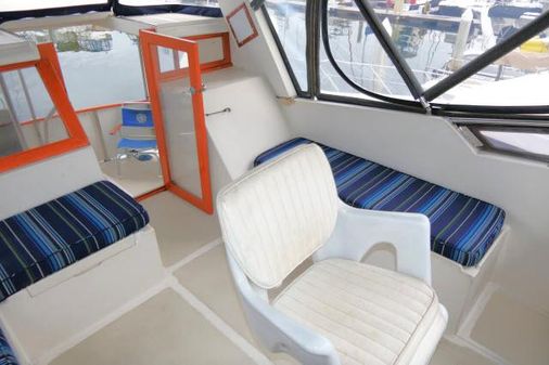 Nova 36 SUNDECK image