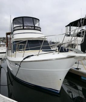 Nova 36 SUNDECK image