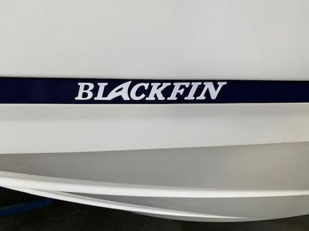 Blackfin 252 CC image