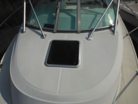 Boston-whaler 275-CONQUEST image