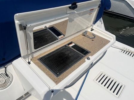 Sea Ray Sundancer 460 image