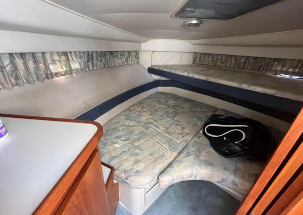 Carver 350-AFT-CABIN image