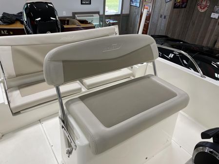 Boston Whaler 240 Dauntless image