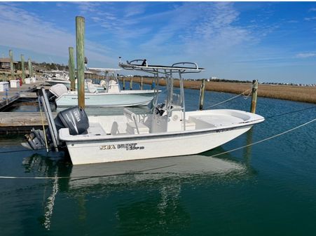 Sea Hunt Skiff 19 image