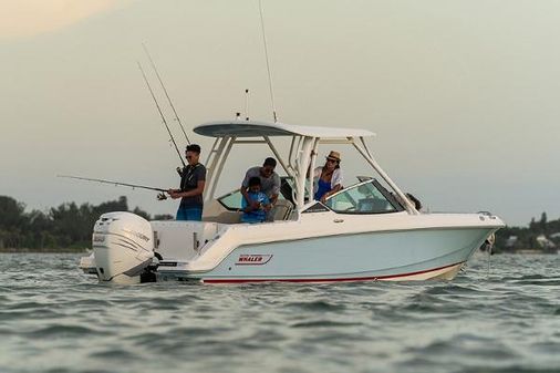 Boston-whaler 240-VANTAGE image