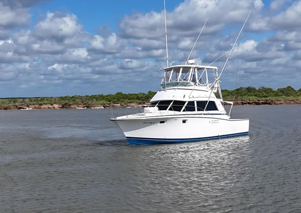 Bertram 38 Convertible image