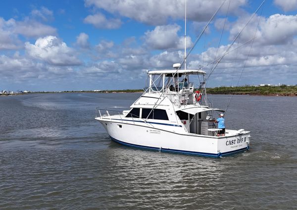 Bertram 38 Convertible image