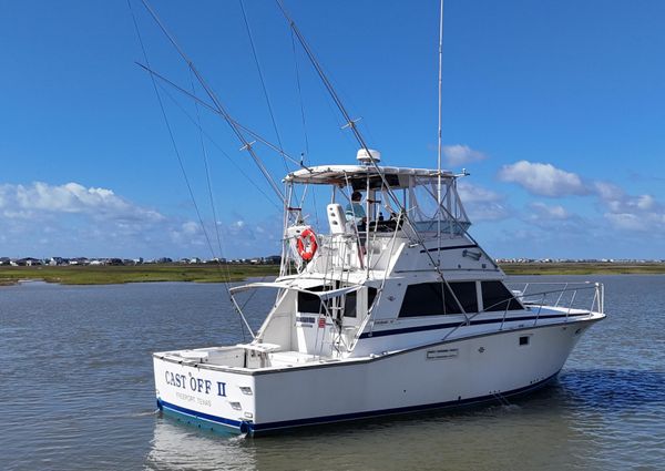 Bertram 38 Convertible image