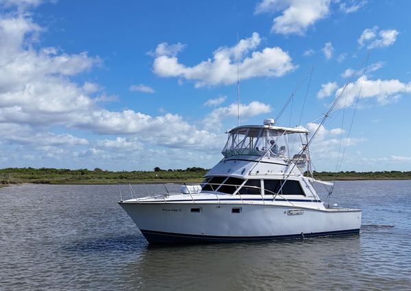 Bertram 38 Convertible image