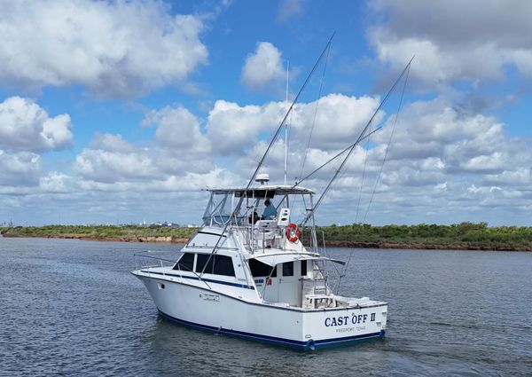 Bertram 38 Convertible image