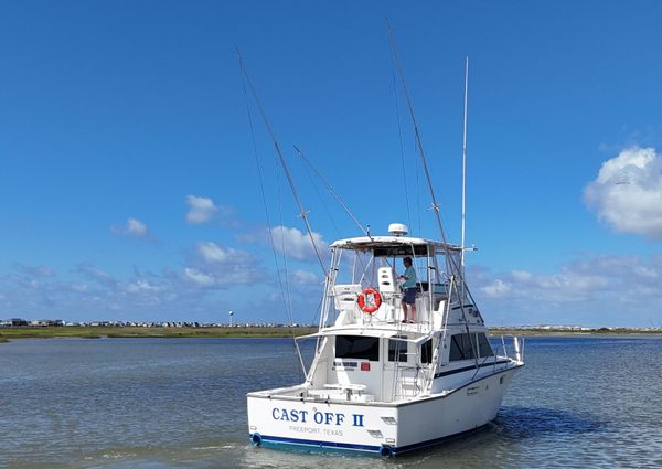 Bertram 38 Convertible image