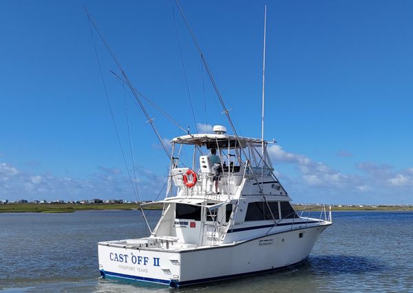 Bertram 38 Convertible image