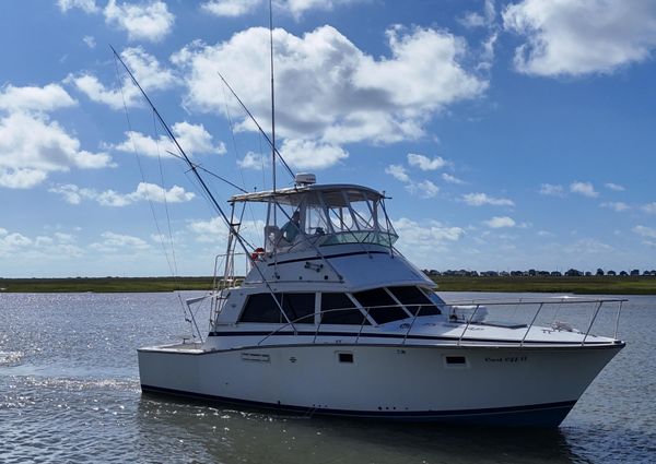 Bertram 38 Convertible image