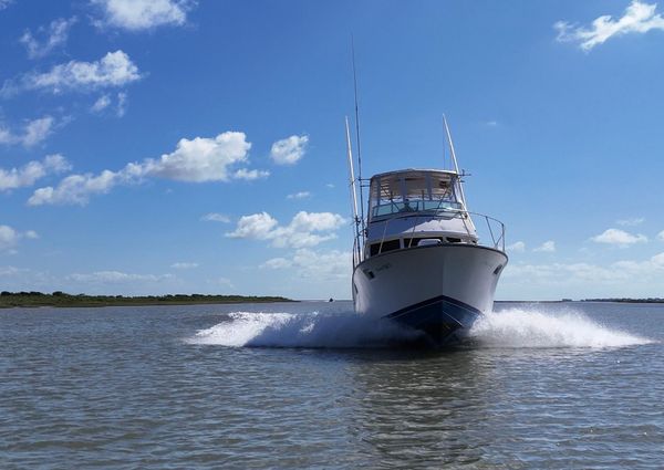 Bertram 38 Convertible image