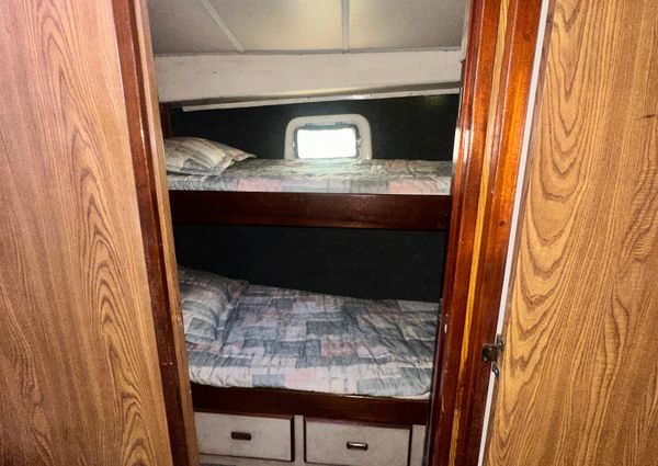 Bertram 38 Convertible image