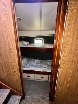 Bertram 38 Convertible image