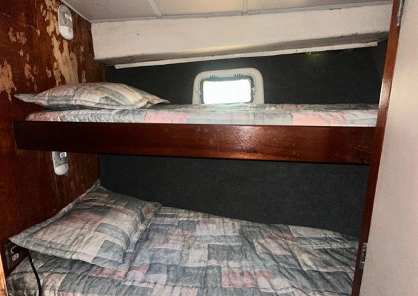 Bertram 38 Convertible image